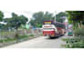 create bus promo and logo animation videos